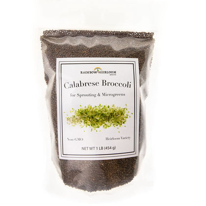 Rainbow Heirloom Calabrese broccoli seeds for sprouts ready to germinate.