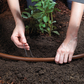 Raindrip SDGCBHP 50 ft tubing and Y-connector for flexible layout