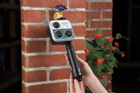 Raindrip SDGCBHP timer showing customizable schedules for garden beds