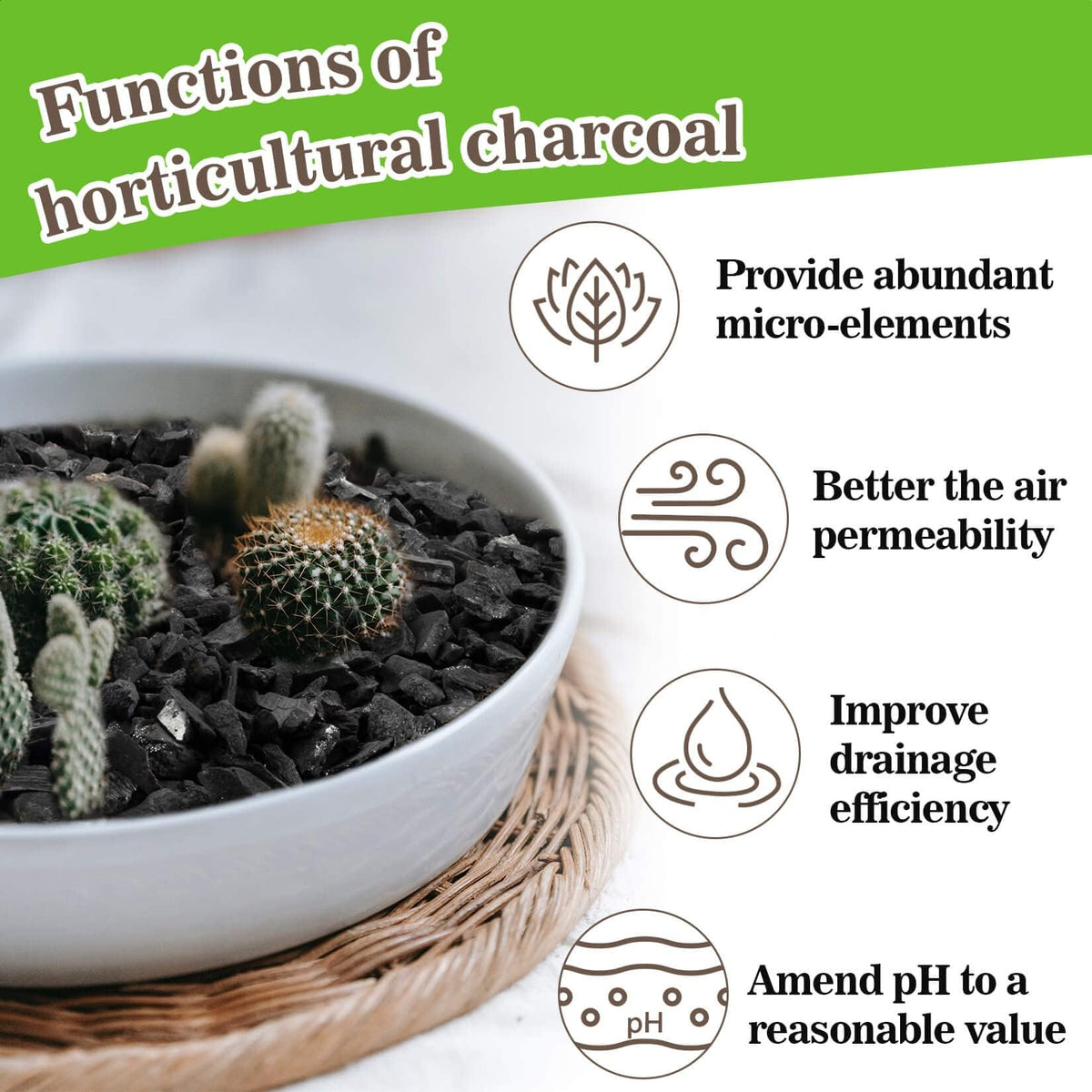 RAINFLOW charcoal for succulents balances moisture in soil