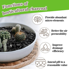 RAINFLOW charcoal for succulents balances moisture in soil