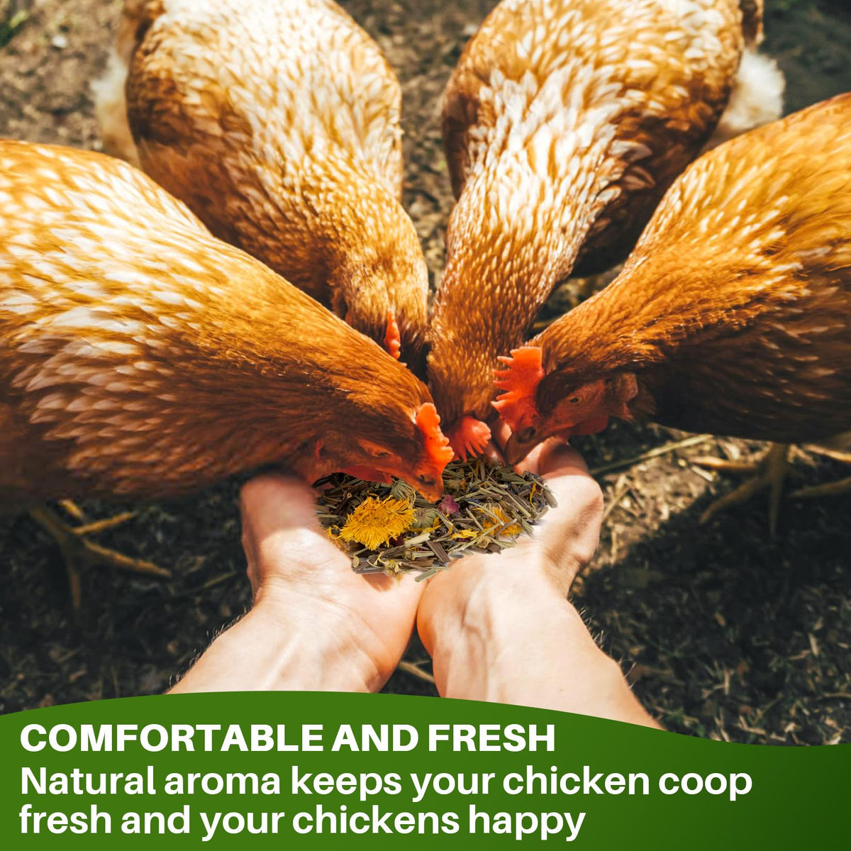 RAINFLOW deodorizing herbs with lemongrass and mint for odor control in coop