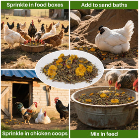 RAINFLOW easy-use coop sprinkle product shown for quick refresh
