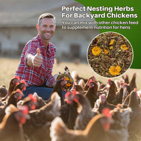 RAINFLOW egg-laying support with calendula and rose in nesting areas