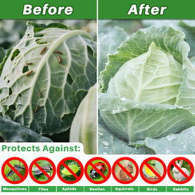 RAINFLOW garden pest barrier netting safeguards fruits and vegetables from birds and insects.