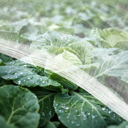 RAINFLOW insect garden netting protects crops while allowing sunlight and airflow.