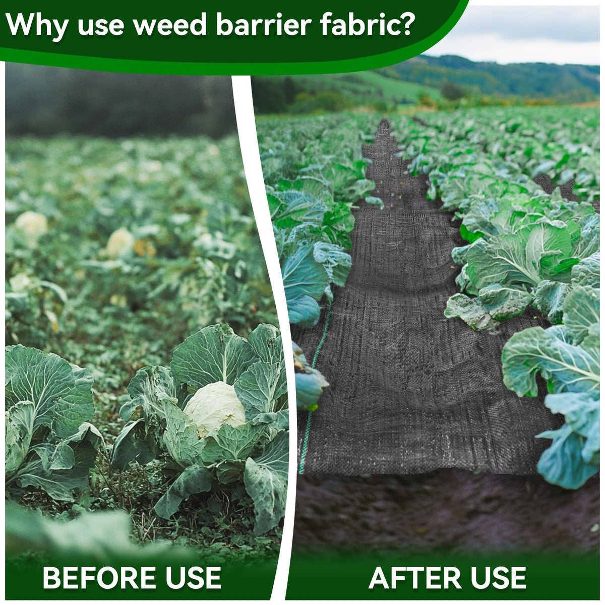 RAINFLOW weed barrier fabric installation ease allows quick setup in gardens and paths.