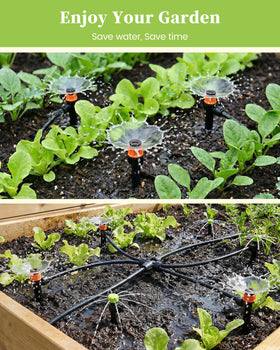 RAINPOINT greenhouse irrigation setup for healthy plants