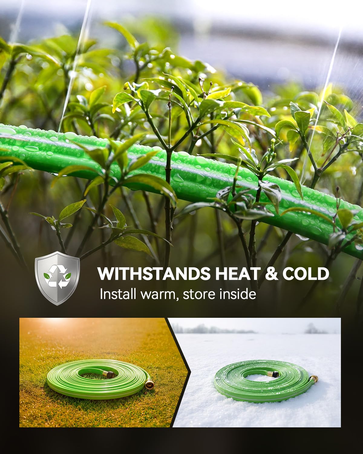 RAINPOINT in-use layout irrigates garden and yard efficiently.