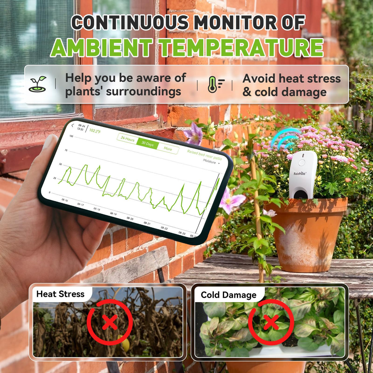 RainPoint live data view on your phone for real-time monitoring.