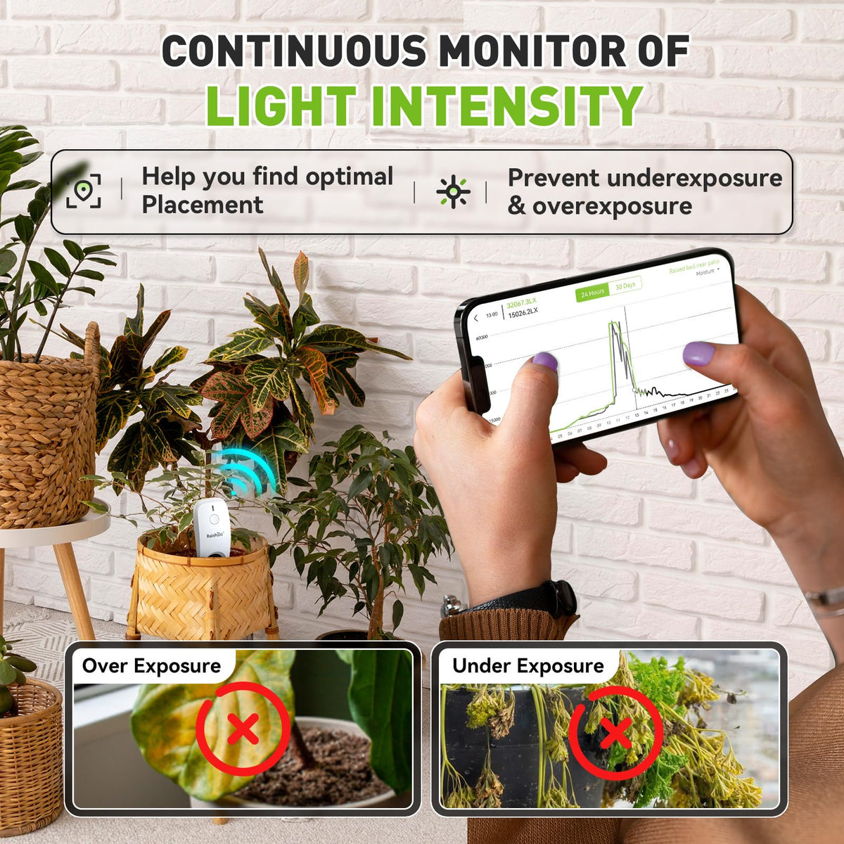 RAINPOINT smart auto-watering system integration prevents overwatering and saves gardener time.