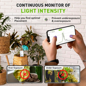 RAINPOINT smart auto-watering system integration prevents overwatering and saves gardener time.