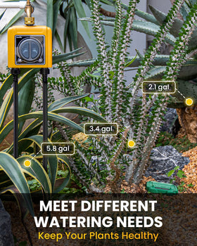 RAINPOINT timer in Irrigation and Mist modes for flexibility
