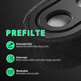 Raipoment lawn mower air filter assembly demonstrates durable replacement.