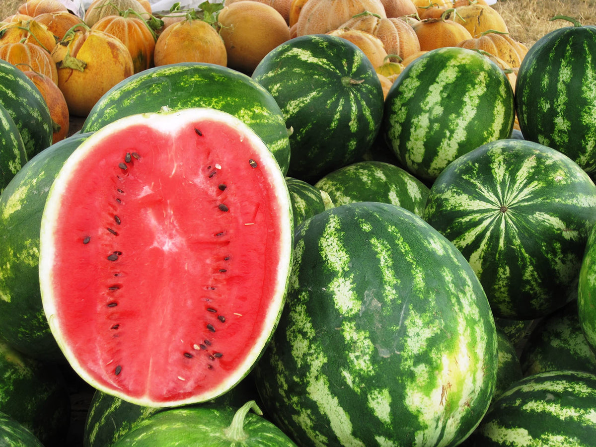 RAISE ME UP Seeds Watermelon Green Astrakhan gift-ready packaging invites thoughtful gardening gifts.