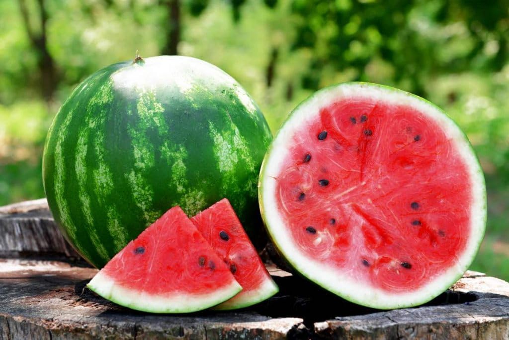 RAISE ME UP Seeds Watermelon Green Astrakhan growing guide helps you start plants confidently.