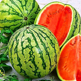 RAISE ME UP Seeds Watermelon Green Astrakhan heritage variety with non-GMO assurance.