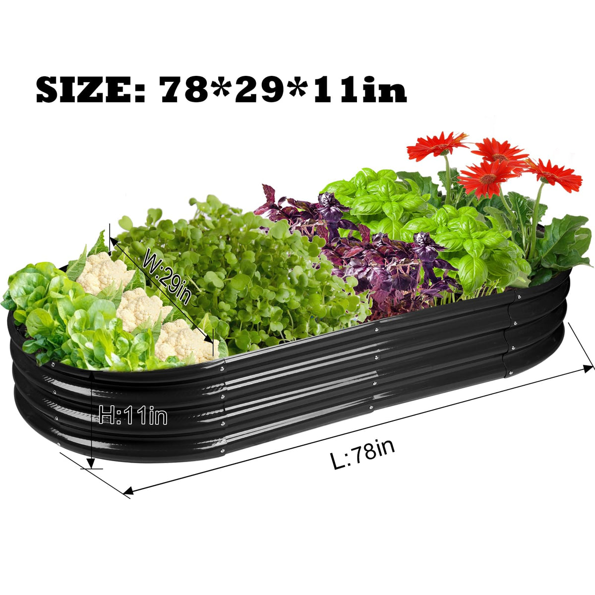 Rakukiri open-bottom planter drains well, preventing waterlogging.