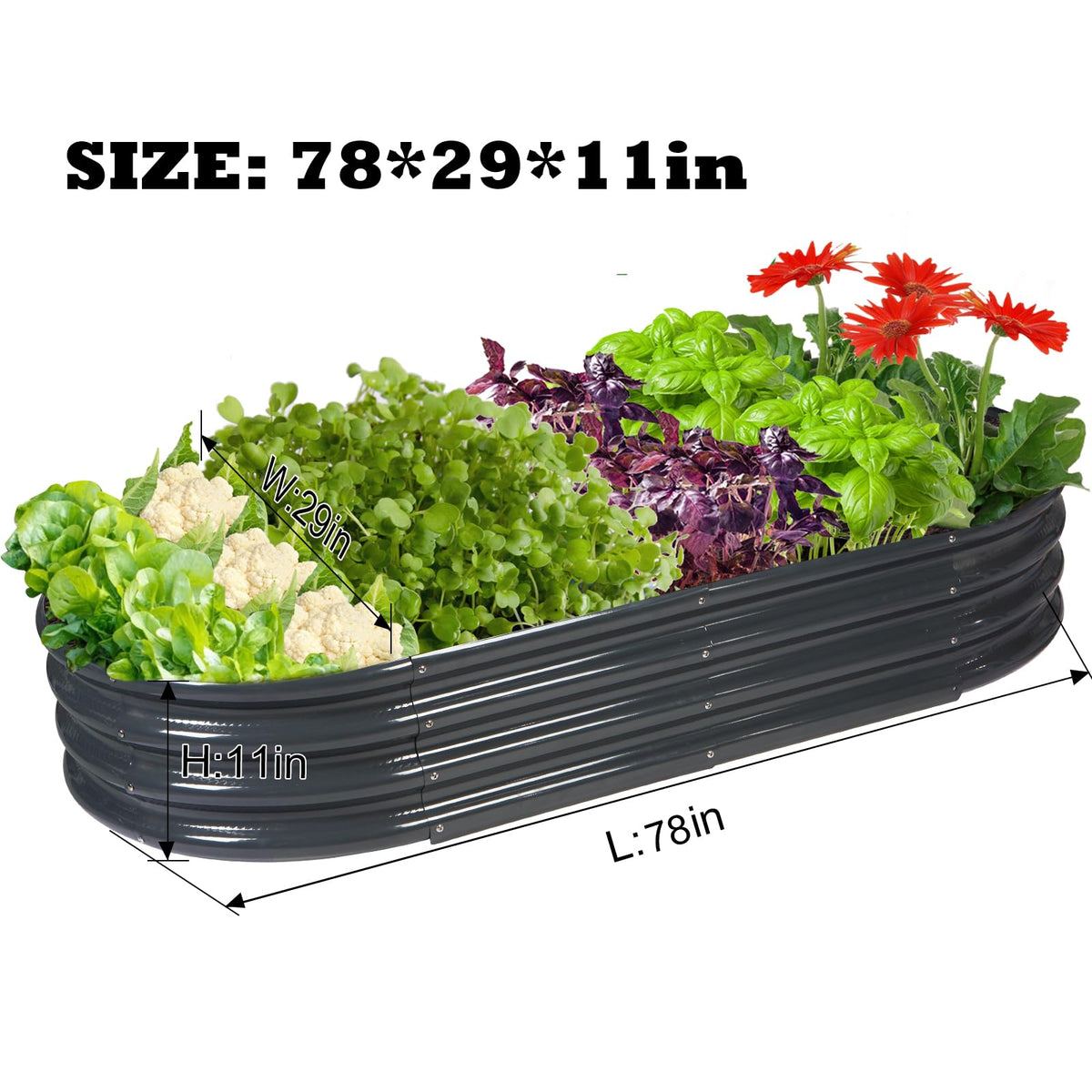 Rakukiri oval raised bed emphasizes open-bottom design to improve drainage and root health.