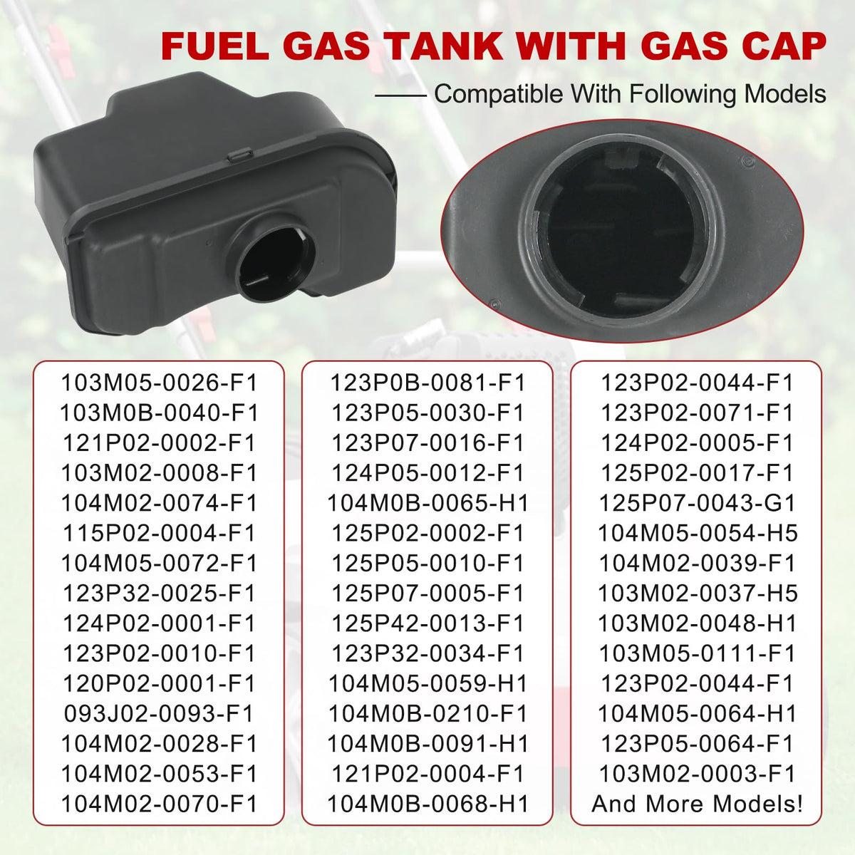 RALBDX fuel tank cap 093J02-0093-F1 fitment view for compatible equipment.