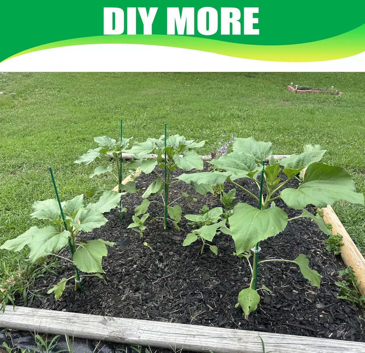 Ranchbtn stakes ready to insert into soil for sturdy garden support.