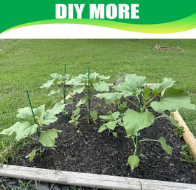 Ranchbtn stakes ready to insert into soil for sturdy garden support.