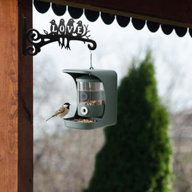 Elegant accent that blends with garden or living room decor.