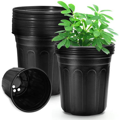 RAOOKIF 1-gallon pot indoors for seedlings with drainage.