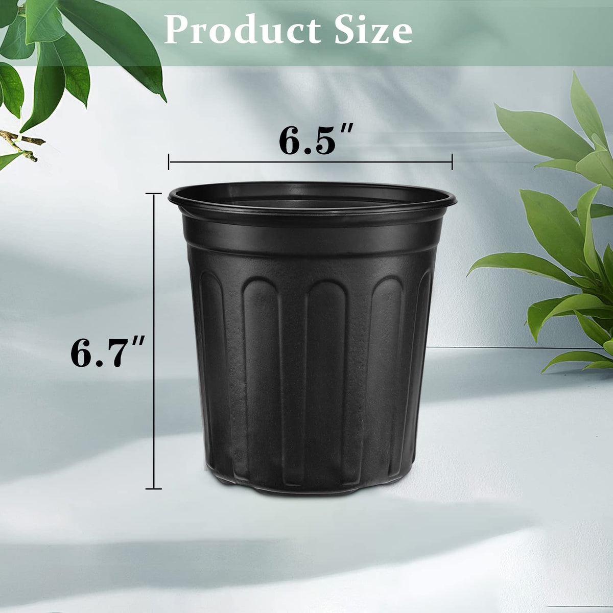 RAOOKIF 1-gallon pot outdoors in sunlit garden.