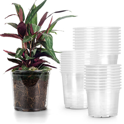 RAOOKIF 30-pack clear nursery pots in 5-inch for seedlings and transplant prep.