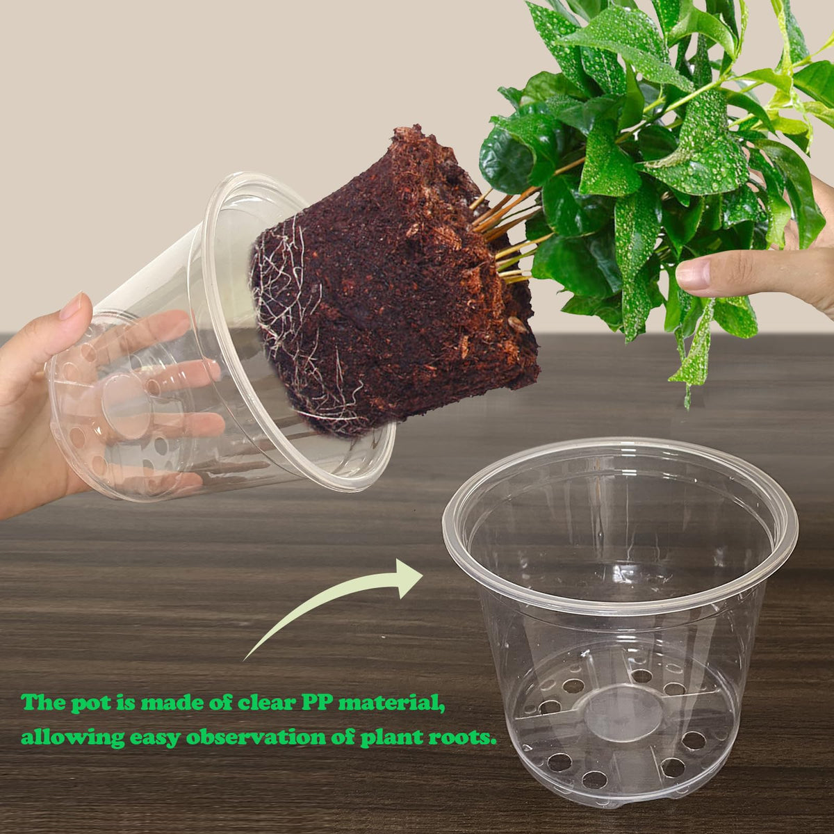 RAOOKIF 30-pack clear nursery pots in 7-inch for larger plants and roots.