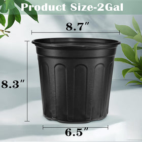 RAOOKIF pot bottom with drain holes promotes aeration and drainage.