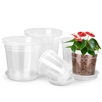 RAOOKIF clear 4-inch nursery pot with drainage for healthy seedling growth