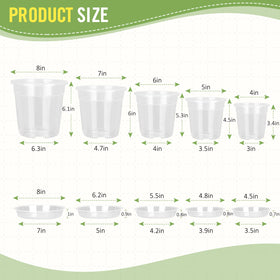 RAOOKIF clear 5-inch nursery pot shows drainage and root visibility for monitoring