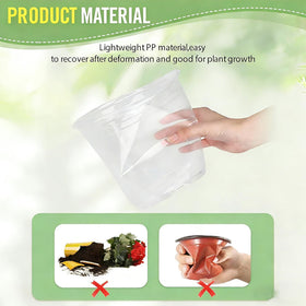 RAOOKIF 6-inch clear nursery pot for mid-size plants like herbs and tomatoes