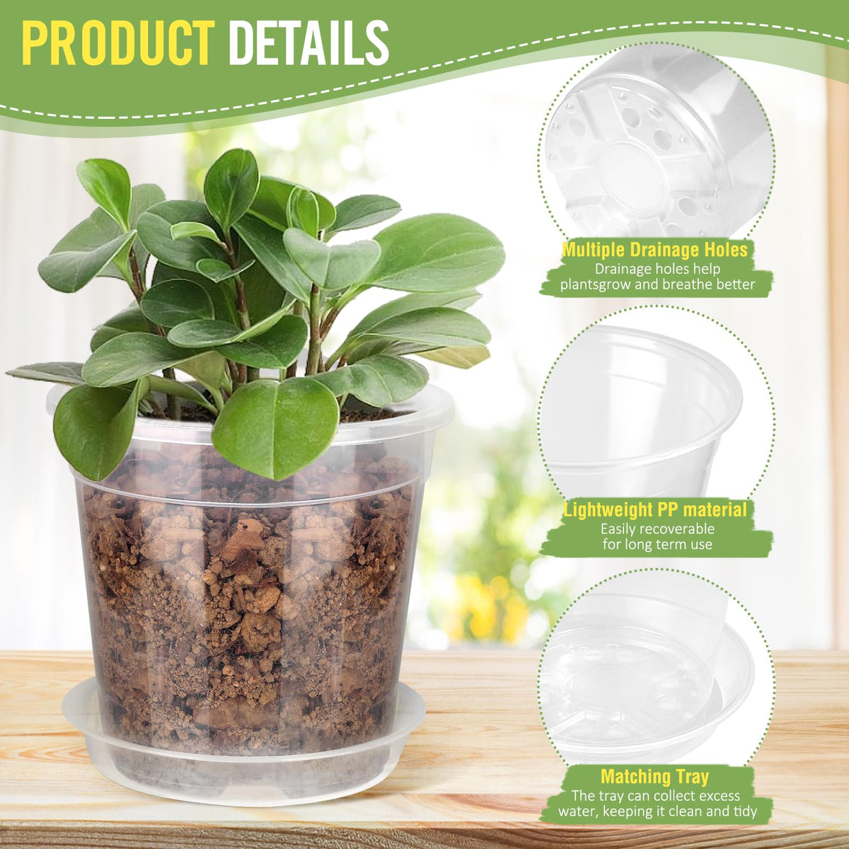 RAOOKIF 7-inch clear nursery pot enables larger transplants with easy water management