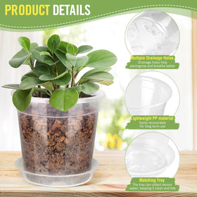 RAOOKIF 7-inch clear nursery pot enables larger transplants with easy water management