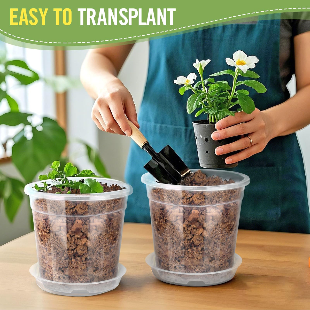 RAOOKIF 8-inch clear nursery pot suitable for outdoor planters and spacious root growth