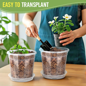 RAOOKIF 8-inch clear nursery pot suitable for outdoor planters and spacious root growth