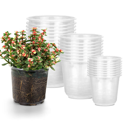 RAOOKIF clear nursery pots 3.5-inch pack with transparent walls for root observation and easy transplanting