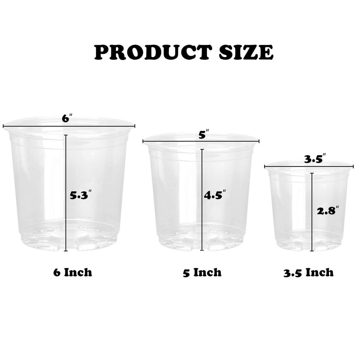 RAOOKIF 6-inch clear nursery pots for larger seedlings and transplants