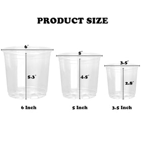RAOOKIF 6-inch clear nursery pots for larger seedlings and transplants