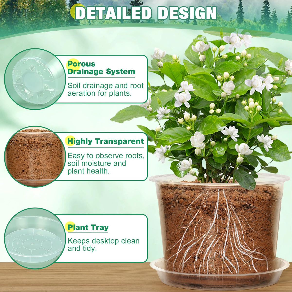 RAOOKIF clear pot enables quick observation of root health and moisture