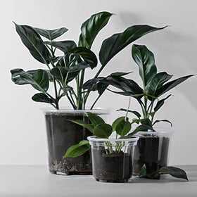 RAOOKIF durable PP plastic pots are lightweight and reusable