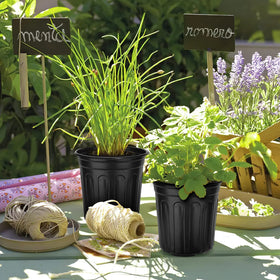 RAOOKIF gallon pot ideal for vegetables and flowers.