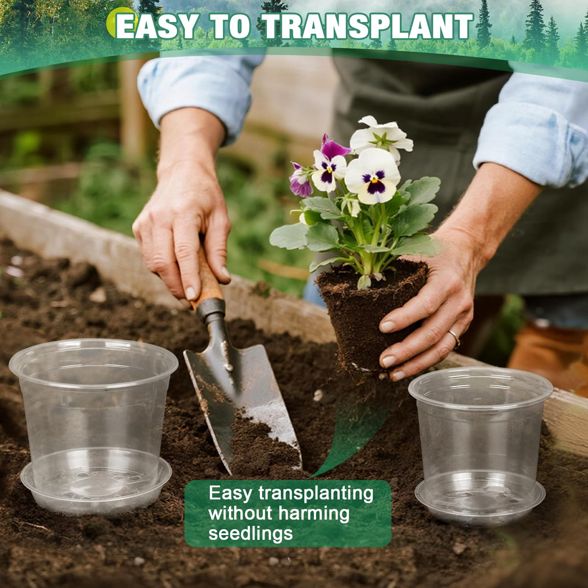 RAOOKIF clear pot for indoor and outdoor use supports versatile planting