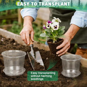 RAOOKIF clear pot for indoor and outdoor use supports versatile planting