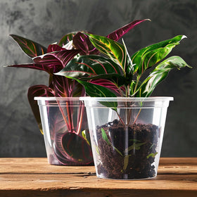 RAOOKIF reusable nursery pots built for durability across seasons.