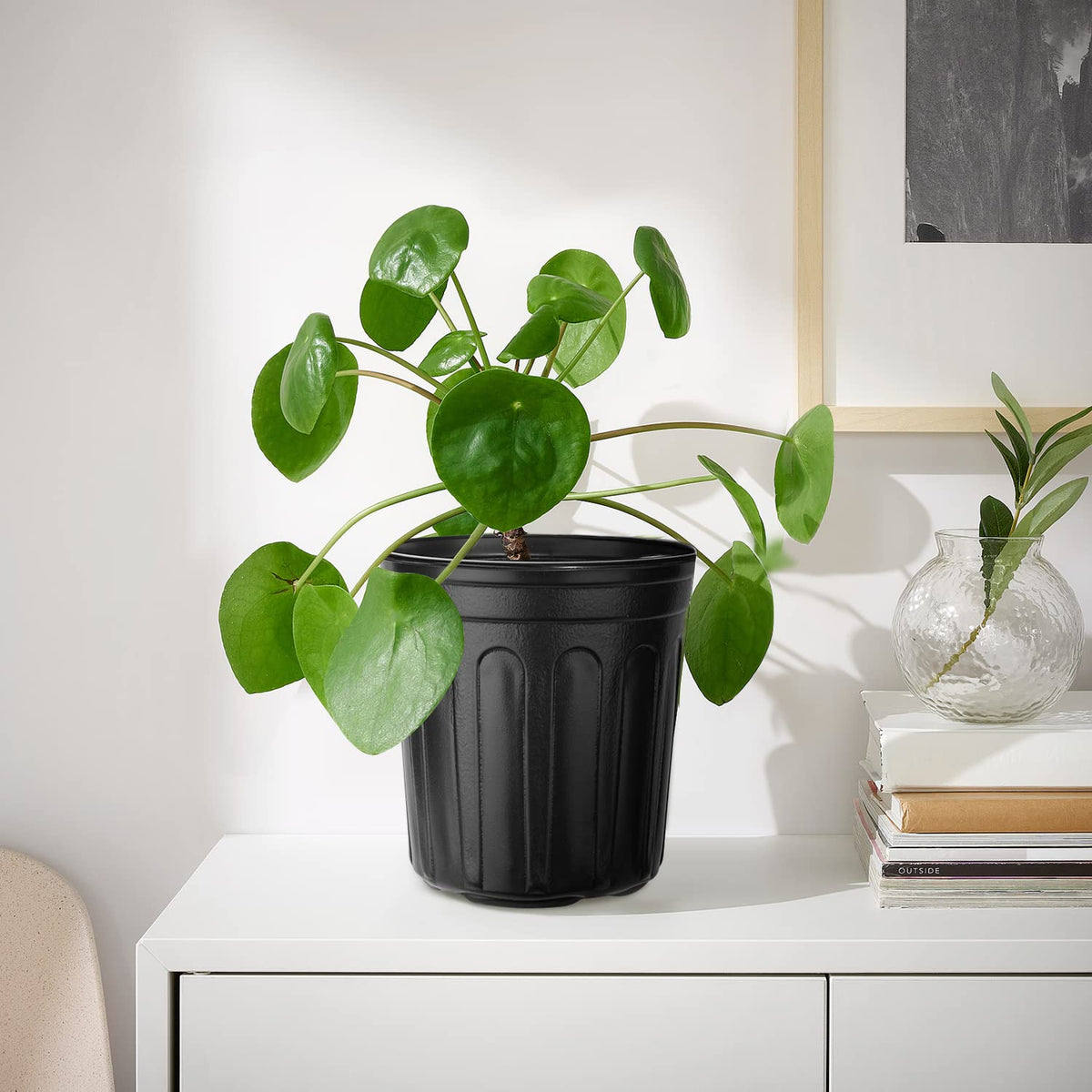 RAOOKIF wide opening supports easy filling and transplanting.