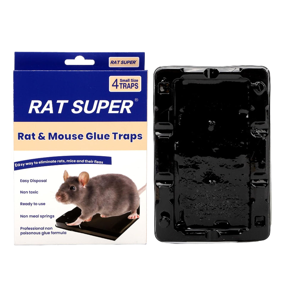 RAT SUPER sticky mouse trap in box design, ready to place